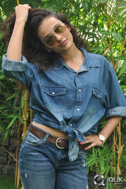 Seerat-Kapoor-at-Run-Raja-Run-Press-Meet